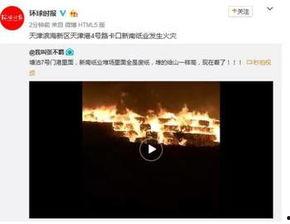 天津滨海事件爆料视频最新,揭秘真相与背后隐情